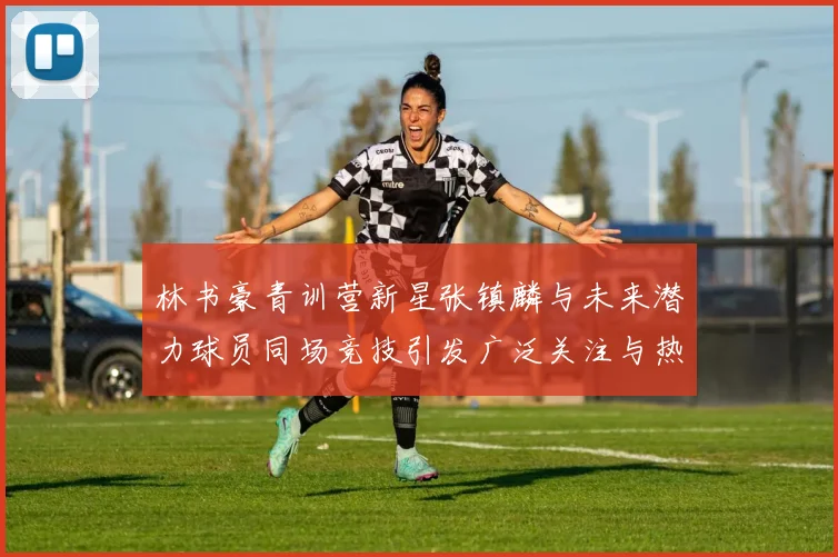 林书豪青训营新星张镇麟与未来潜力球员同场竞技引发广泛关注与热议